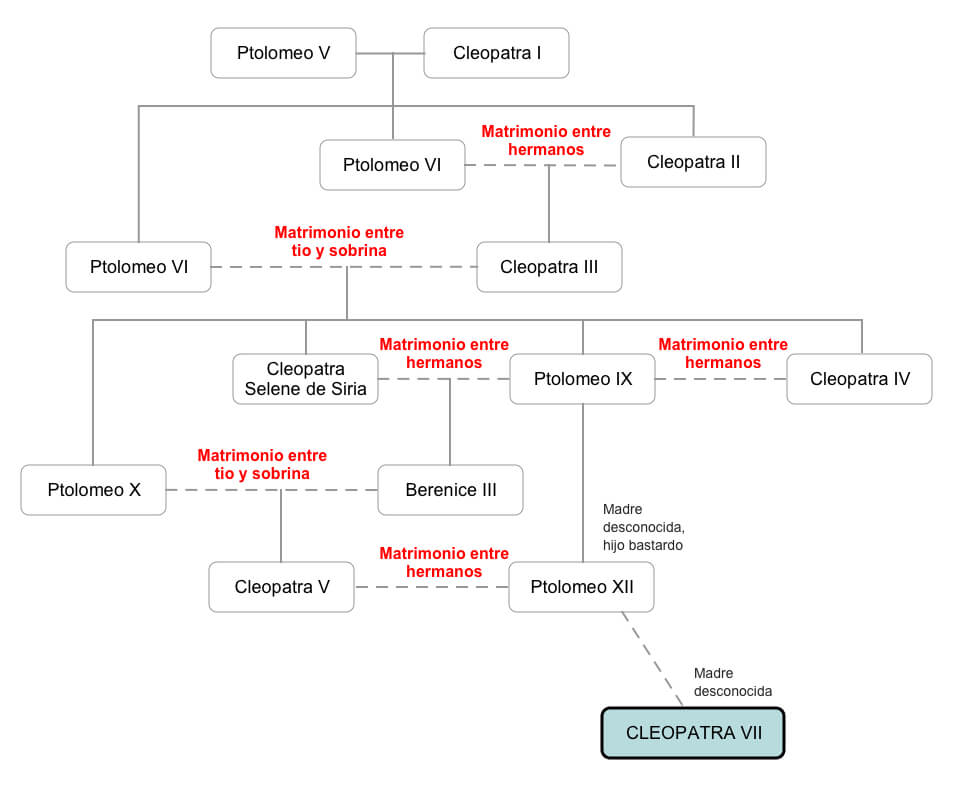 Árbol genealógico de Cleopatra-Cleopatra no era egipcia era griega